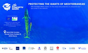 Protecting the Giants of Mediterranean