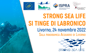 Strong Sea Life in Livorno