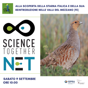 Discovering the Italian Partridge and its reintroduction in the Mezzano Valleys (FE)