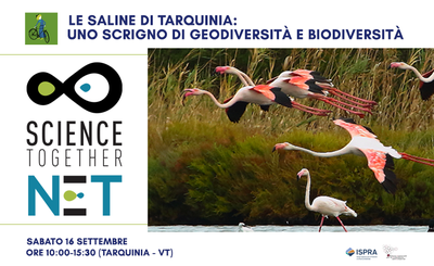 The Saline of Tarquinia: a treasure of geodiversity and biodiversity