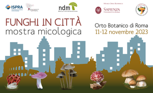 Fungi in the city. Mycological exhibition