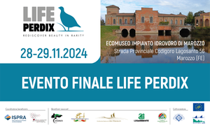 Final event Life Perdix