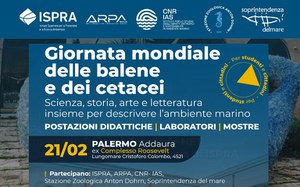 World Whale and Cetacean Day: ISPRA and ARPA Sicily celebrate the sea with students