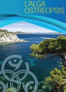 Informative brochure for Algal Ostreopsis