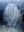 Population explosion of a Ctenophore in upper Adriatic sea