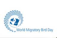 World Migratory Bird Day : benefit concert