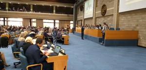 First meeting of the Open-Ended Working Group for the development of the global framework on biodiversity post-2020 under the UN Convention for biodiversity conservation