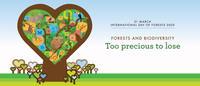 Forests and biodiversity. Too precious to lose them - International day of Forests