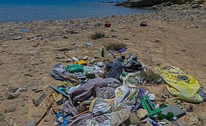 Beach cleant? Only if contains less than 20 marine wastes every 100 metres