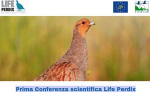 First scientific conference Life Perdix