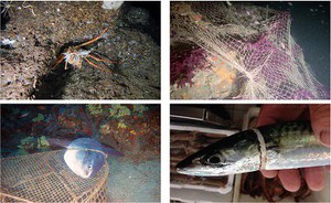 Plastic and the Mediterranean sea