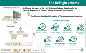 Approved the Carta of Bellagio