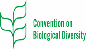 Informal session of the scientific body of the United Nations Convention on Biodiversity