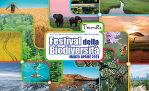 Biodiversity festival