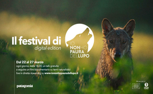 Festival "I'm not afraid of the wolf"