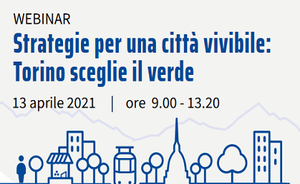 Strategies for a sustainable city: Turin chooses the green