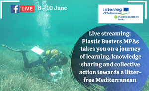 Plastic Busters MPAs takes you on a journey in Sicily of learning, knowledge sharing and collective action towards a litter-free Mediterranean