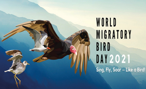 Word Migratory Bird Day