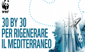 30 by 30 to regenerate the Mediterranean