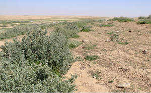 Desertification and Drought Day 2021