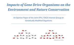 Opinion Paper Gene Drive Organisms (IG GMOs)