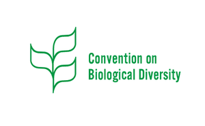 15th meeting of the Conference of the Parties to the Convention on Biological Diversity (COP15): a new Strategic Plan to combat the loss of Biodiversity