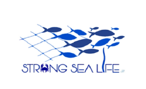 Project STRONG SEA - Survey and TReatment ON Ghost Nets Sea LIFE