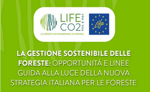 Sustainable forest management: opportunities and guidelines in light of the new Italian forest strategy