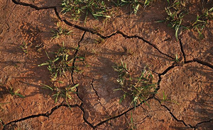 Water, drought and water scarcity
