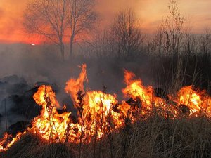 Fires in Italy: in 2021 triple the hectares of 2020 burned. The most burned region was Sicily, in Sardegna the largest fire