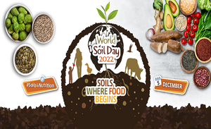 Soil: where nutrition begins