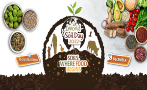 Soils: where food begins