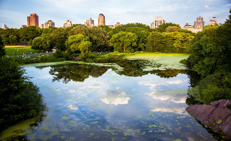New Information System on the quality of the urban environment — English