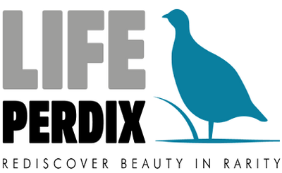 LIFE PERDIX Project of the month on the website of the Ministry of the Environment and Energy Security