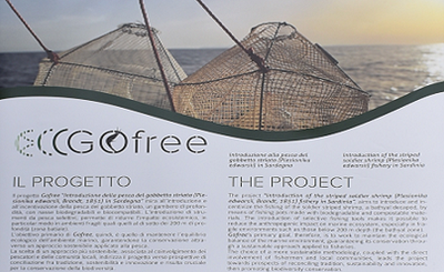 Gofree project