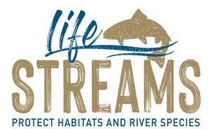 World Wetlands Day: LIFE Streams Project