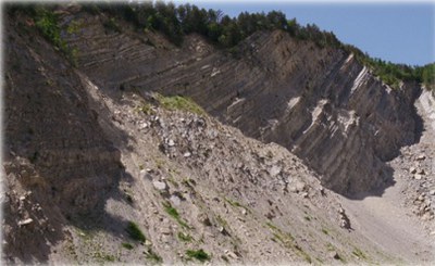 The experimental field of the landslide of Poggio Baldi (FC)
