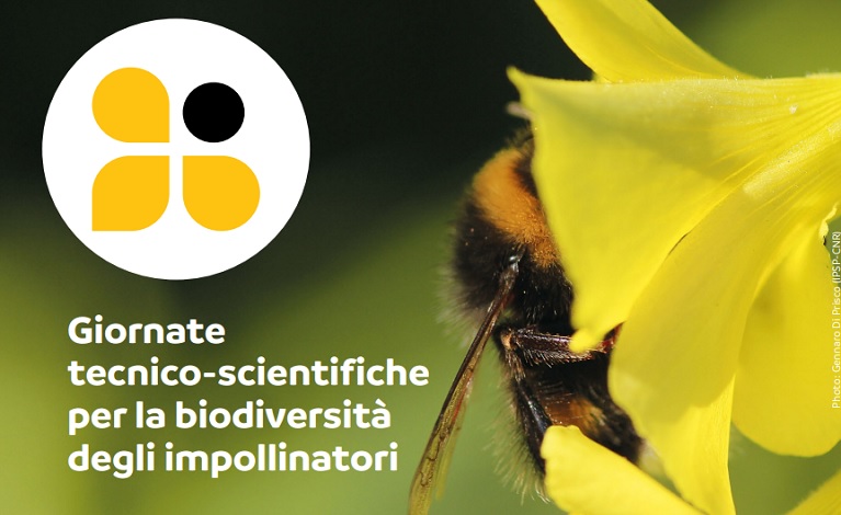 Technical-scientific days for the biodiversity of pollinators — English