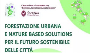 Urban forestation and Nature based solutions for the sustainable future of cities