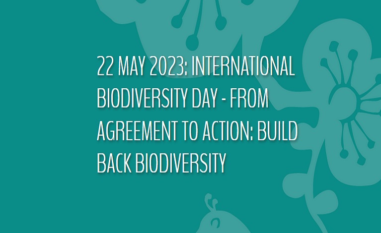 World Biodiversity Day 2023 — English