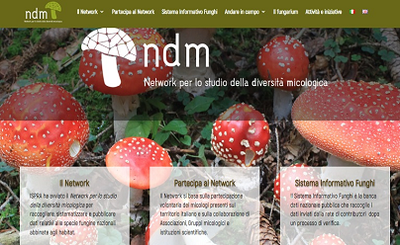 Online the web site for Network for the study of mycological diversity