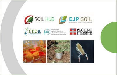 The soil monitoring network in Italy: estimating soil biodiversity and the potential increase in organic carbon