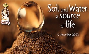 Soil week in Sicily dedicated to Bernardino Romano