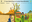 World Day to Combat Desertification and Drought  17 June