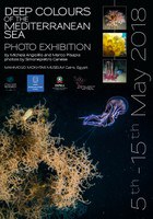"Deep colors of the Mediterranean sea" at the Museum of Mahmoud Mokhtar del Cairo 