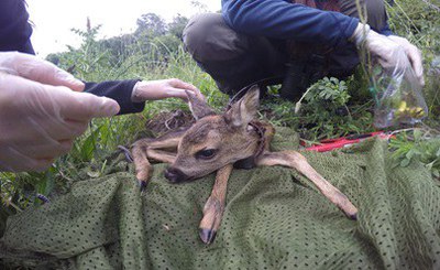 ABC ISPRA Environment Biodiversity Conservation