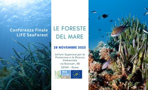 Final conference LIFE SeaForest project