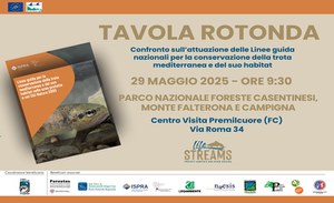 Comparison on the implementation of the National Guidelines for the conservation of Mediterranean trout and its habitat