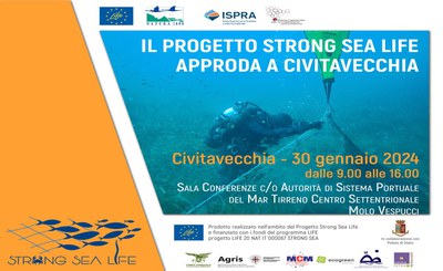 The Strong Sea project in Civitavecchia