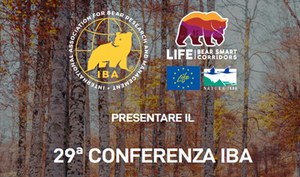 29th International Conference on Bear Research and Management